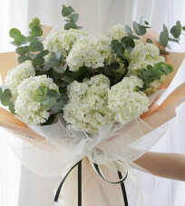 WHITE HYDRANGEA BOUQUET