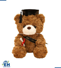 SMALL GRADUATION PLUSH BEAR