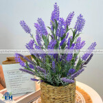 HOA LAVENDER