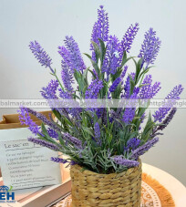 HOA LAVENDER