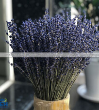 DRIED LAVENDER FLOWERS