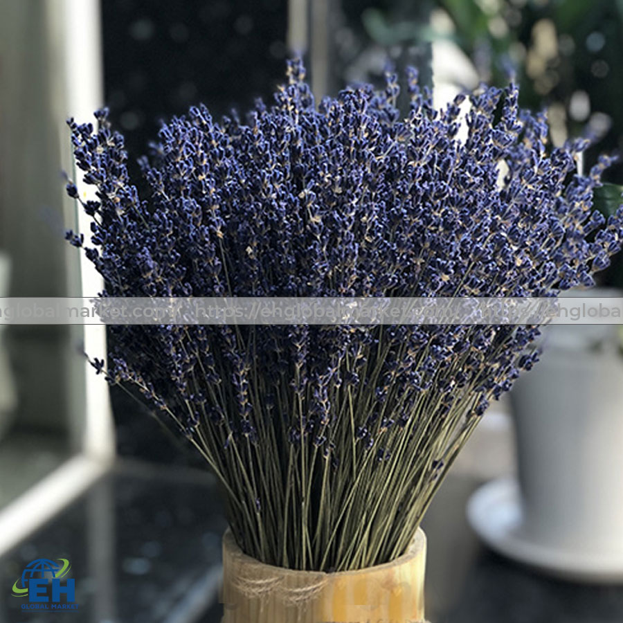 DRIED LAVENDER FLOWERS