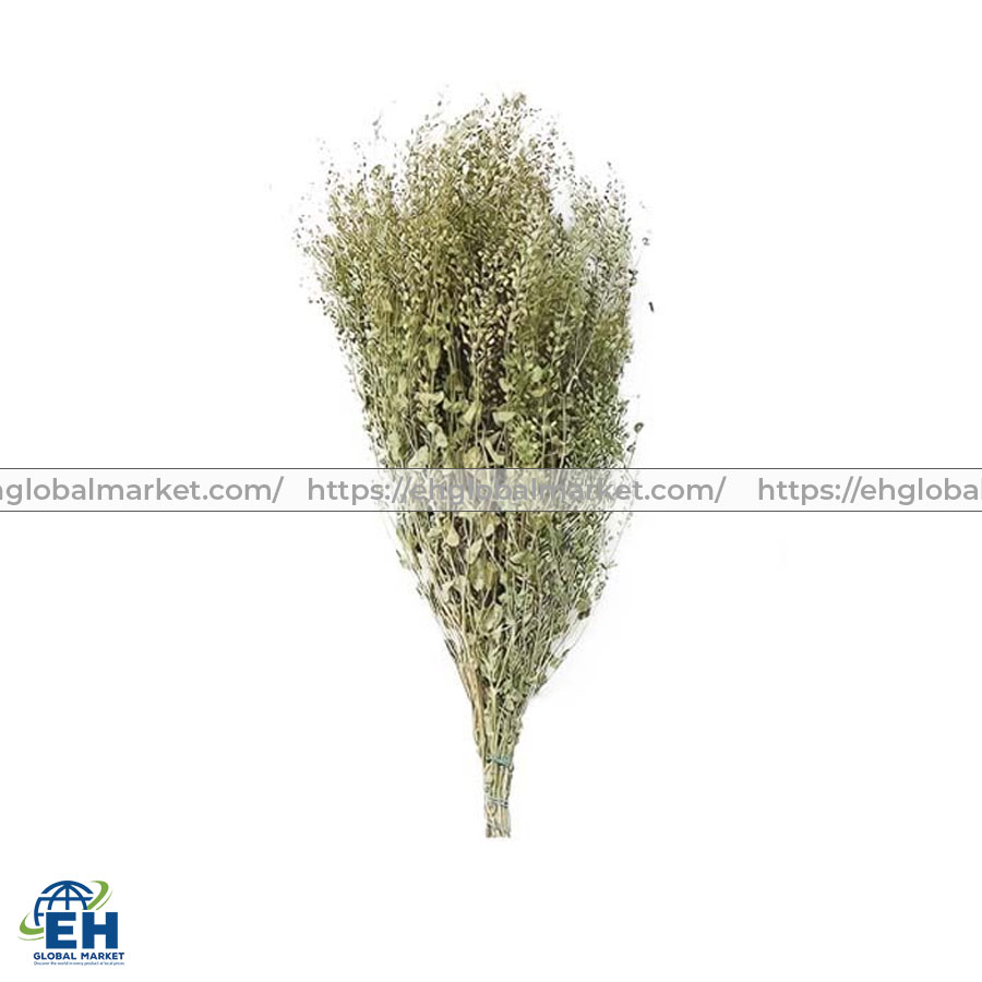 HOA-LEPIDIUM-XANH-2