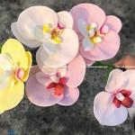 Learn About Orchid Wax Flowers