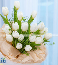 Bó Hoa Tulip Nở với vẻ đẹp tinh tế và sắc màu rực rỡ