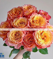 Orange Mesh Rose