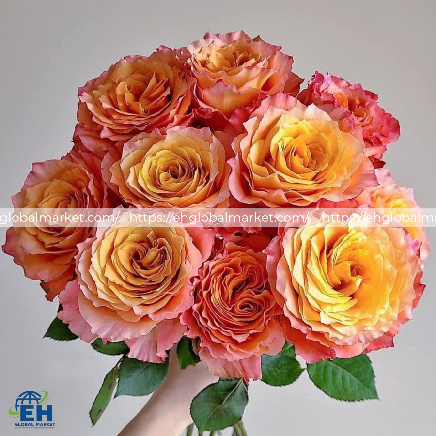 Orange Mesh Rose