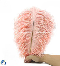 100% Real Pink-Orange Feathers, size 25-30cm