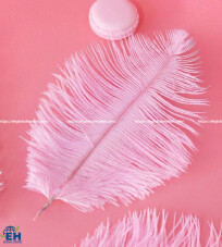 100% Real Light Pink Feathers, size 25-30cm