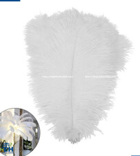 100% Real White Feathers, size 25-30cm