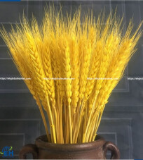 RICE FRUITS Decoration