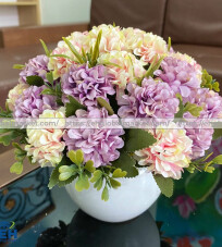 TÚ CẦU HOÀNG GIA (HYDRANGEA ROYAL)