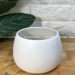 CHẬU GỐM HÌNH HẠT DẺ 10CM