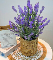 HOA GIẢ LAVENDER