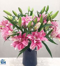 Pink Lilies