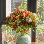 HOA THỦY TIÊN (ALSTROEMERIA)