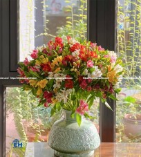 HOA THỦY TIÊN (ALSTROEMERIA)