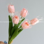 Hoa Tulip Cao Su Cánh Bướm: Vẻ Đẹp Dịu Dàng và Sang Trọng